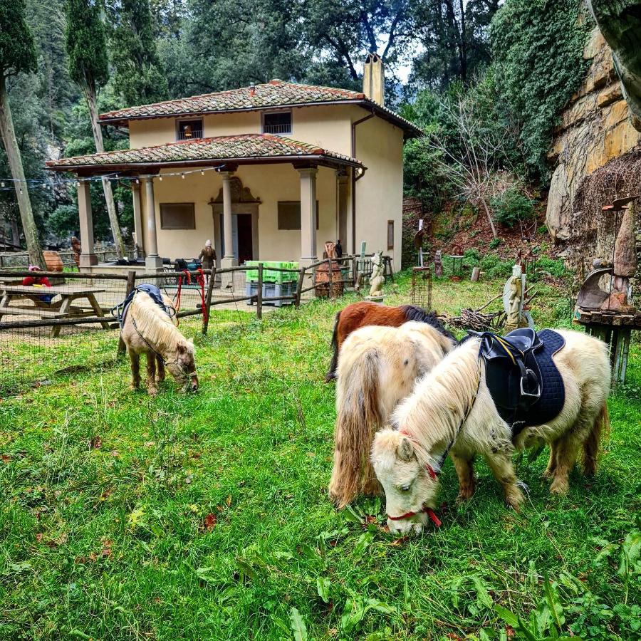 Agriturismo Fattoria Di Maiano Fiesole Exteriér fotografie