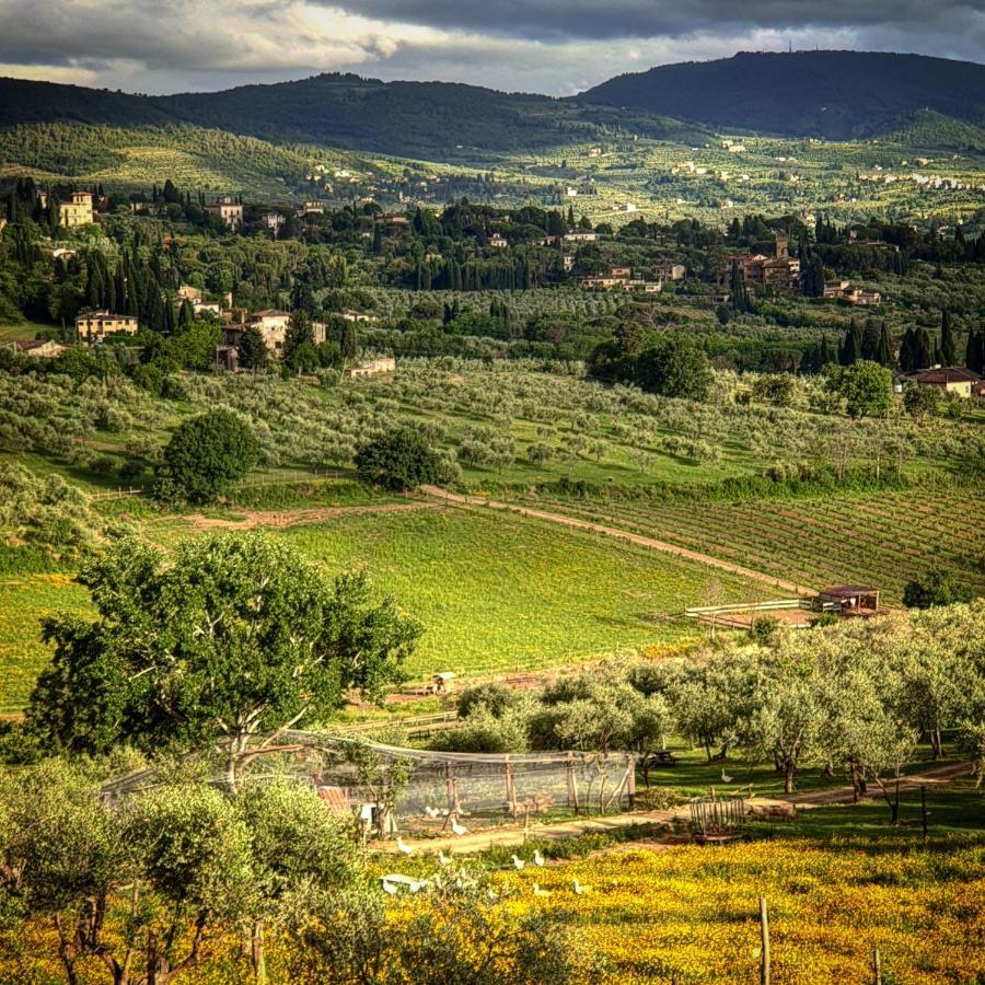 Agriturismo Fattoria Di Maiano Fiesole Exteriér fotografie