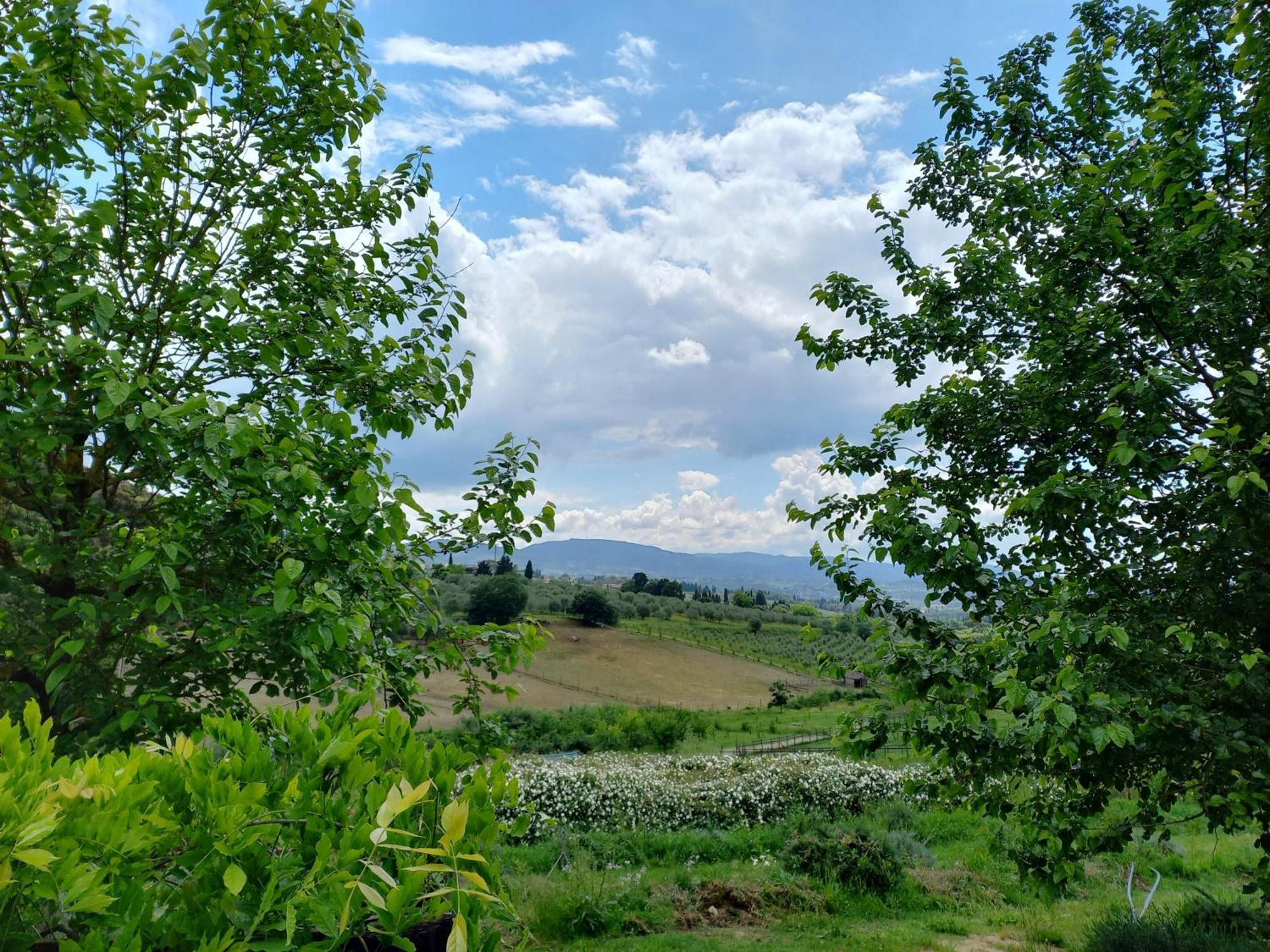 Agriturismo Fattoria Di Maiano Fiesole Exteriér fotografie